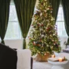 20221115140235_IMG_7716_2 9' King Fraser Fir Artificial Christmas Tree Unlit