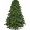 AspenFirUnlitWhiteBackground 7.5' Aspen Fir Artificial Christmas Tree Unlit