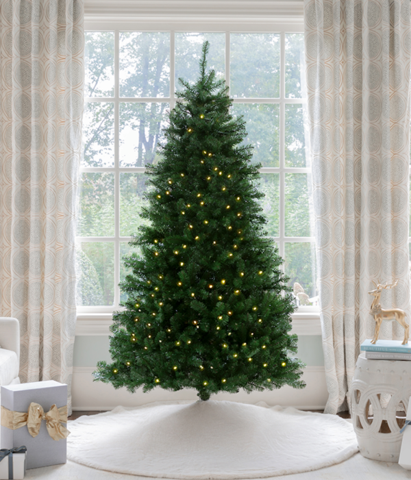 Hancock-Spruce 7' Hancock Spruce Artificial Christmas Tree 450 Warm White LED Lights