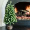 KOC2021RoyalFir-3-2 3' Royal Fir Tabletop Tree Unlit