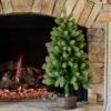 KOC2021RoyalFirVertical2_c2679e8d-999c-4664-bf83-a763d2f984f8 3' Royal Fir Tabletop Tree Unlit