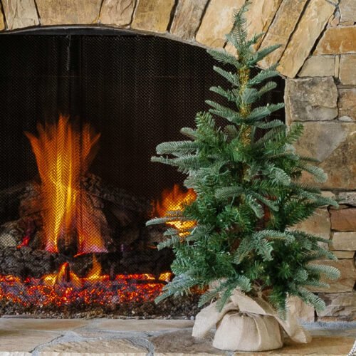 KingNobleTabletop 3' King Noble Fir Tabletop Tree with 70 Warm White LED Lights