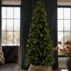Kingfraserfirslimled 9' King Fraser Fir Slim Artificial Christmas Tree with 900 Warm White & Multi-Color LED Lights