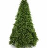 Royal_Fir_Full_White_Background_Unlit 7.5' Royal Fir Artificial Christmas Tree Unlit