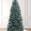 TribecaSlimUnlit 9' Tribeca Blue Spruce Slim Artificial Christmas Tree Unlit