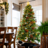 catalog_scarlet_fir 7.5' Scarlet Fir Artificial Christmas Tree Unlit