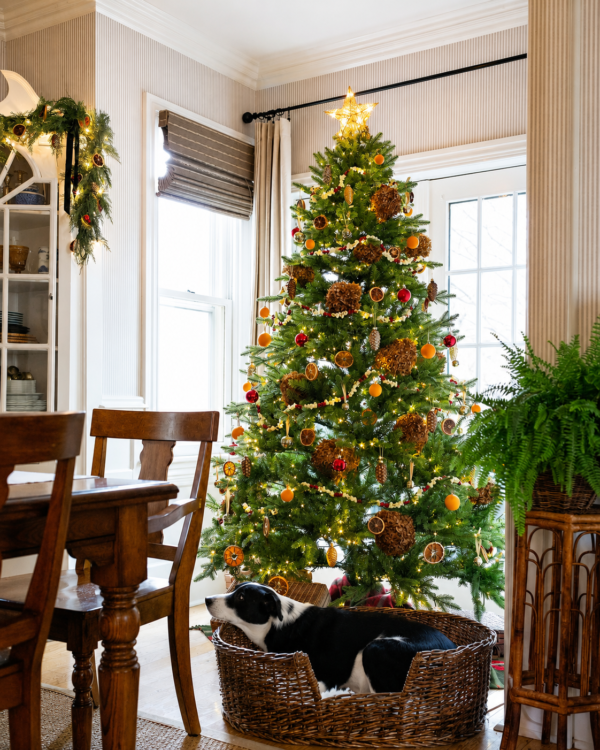 catalog_scarlet_fir 7.5' Scarlet Fir Artificial Christmas Tree Unlit